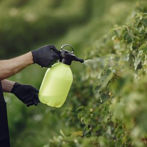 farmer-spraying-vegetables-garden-with-herbicides-man-black-apron-min-scaled-1.jpg