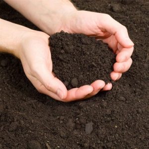 top_soil_category_6b90.jpg